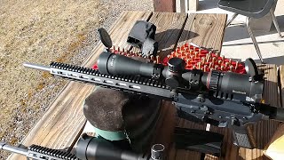 223 Remington  52gr Nosler Custom Competition with Ramshot Tac [upl. by Mercedes308]