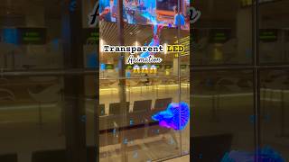 Transparent LED Display😱 Latest Tech 😍 Guess the Place  technology animation trending shorts [upl. by Llenra]