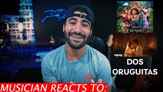 Musician Reacts To Encanto  Dos Oruguitas [upl. by Furnary436]