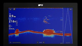 How to Read Your Fish Finder  Raymarine Live Preview  June 25th at 700 PM ET [upl. by Kapor362]