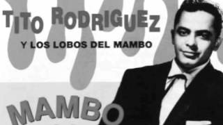 YAMBUTITO RODRIGUEZ Y LOS LOBOS DEL MAMBO [upl. by Magner]