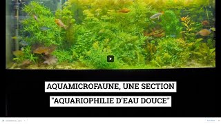 AQUAMICROFAUNE UNE SECTION quotAQUARIOPHILIE DEAU DOUCEquot [upl. by Rednas529]