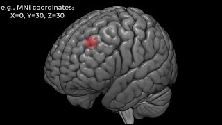 Introduction to Region of Interest ROI Analysis in fMRI [upl. by Airdnalahs]