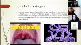 Practica 6 microbiologia Exudado Faringeo [upl. by Enilrac302]