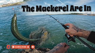 Mackerel fishing  on the rocks fishing rockfishing seafishing mackerel foryou [upl. by Nitsrek]