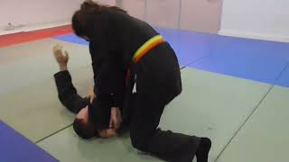 Examen Hapkido Moo Hak Kwan Alicante Artes Marciales [upl. by Otsirave]