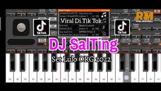 Dj Salting Viral Di Tik Tok Versi ORG 2022 [upl. by Kcirtapnhoj]