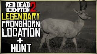 WHERE TO FIND THE LEGENDARY PRONGHORN LOCATION  HUNT  RED DEAD REDEMPTION 2 [upl. by Arabele519]