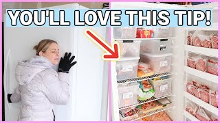 Easiest Ways To Organize Any Freezer Freezer Tips amp Tour [upl. by Eelydnarb]