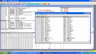Cracken mit OllyDBG [upl. by Olimreh]