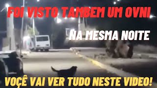 MORADORES FILMAM CRIATURAS DE 90CM ANDANDO PELA RUA EM PLENA ESCURIDÃO [upl. by Woolson76]