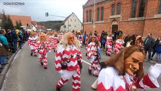 Narrentreffen Schlatt am 10 02 2019 Test von GoPro 7 4K [upl. by Everard61]