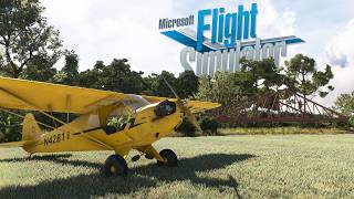 Bald Eagle Airfield Myakka Head  Official Trailer  Microsoft Flight Simulator [upl. by Etnoek492]