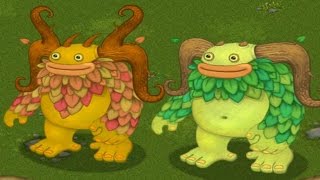 How to breed Rare Entbrat Monster 100 Real in My Singing Monsters [upl. by Nalani]