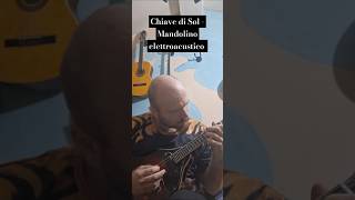 Chiave di Sol  Mandolino elettroacustico banjo mandoloncello mandolino music [upl. by Hobard830]