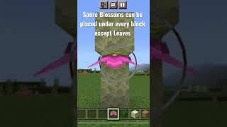 Minecraft Spore Blossom Fact [upl. by Mixam673]