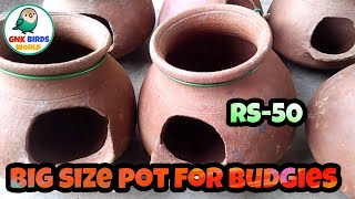 Budgies breeding pot Big size pot in தமிழ் [upl. by Netsuj]