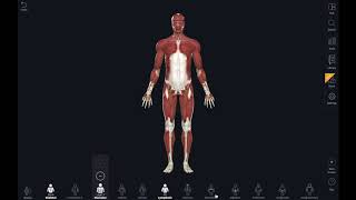 Atlas de Anatomia 3D Human Anatomy Atlas ACESSO ILIMITADO [upl. by Aluap]