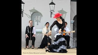 Garrotín Solo at the 2015 Victoria Flamenco Festival [upl. by Bahe]