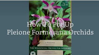 How To Pot Up Pleione Orchids Starting Pleione Formosana Orchids Get Gardening [upl. by Ayekim724]