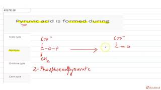 Pyruvic acid is formed during [upl. by Mushro]