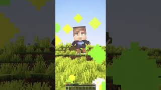 Totems of Famous YouTubers minecraft shorts [upl. by Modie148]