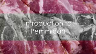 Pemmican Preparation A Step by Step Gui 2023 10 22 [upl. by Cosmo886]