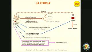 3 El Peritaje Contable  La Pericia [upl. by Marijo]