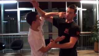 Wing Tsun Savedefence 6SG  test [upl. by Elder]