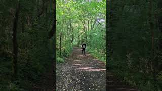 Envill country park england nature nationalparks youtubeshorts fypp [upl. by Atterg]