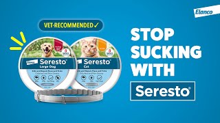 Stop the Suck of Fleas amp Ticks for Your Duo with Seresto® Collar 15s [upl. by Egiarc]