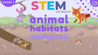 Animal Habitats  Underground  KS1 Science Resources [upl. by Hurd]