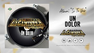 UN DOLOR YONICS BANDA LA CAMINERA 2020 [upl. by Aural995]