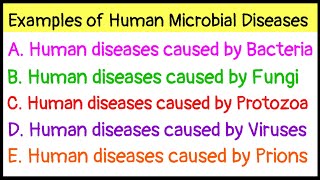 Examples of Human Microbial DiseasesDiseases caused by BacteriaFungiProtozoaVirusesPrions [upl. by Lichter97]