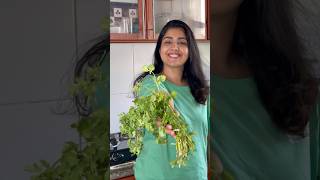 How to preserve coriander leaves for long time kitchen tips and trickseasy kitchen tips [upl. by Liponis]