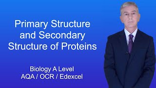 Chapter 23 Biological Molecules  Proteins [upl. by Shriner]