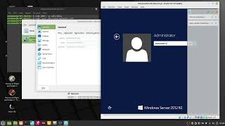 Radmin VPN on Linux using VirtualBox no sound [upl. by Odragde110]