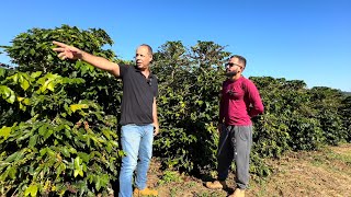 ELE ESTÃ DEIXANDO A ADVOCACIA PARA VIVER DA PRODUÃ‡ÃƒO DE CAFÃ‰ [upl. by Einad975]