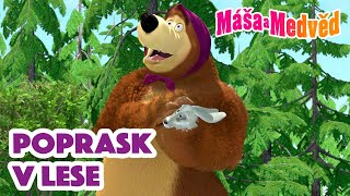 Máša a Medvěd 🐻👧 Poprask v lese 🌳🤯 Kolekce epizod 🎬 [upl. by Courtenay]