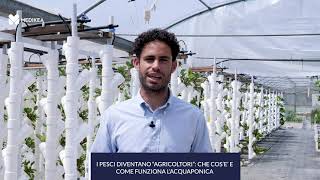 I pesci diventano agricoltori che cos’è e come funziona l’acquaponica [upl. by Queenie]