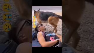 Amazing funny video🤣🤣trending youtubeshortsviralvideo funnyfunnyvideo facebook funny funny [upl. by Butte]