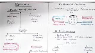 Embryology Chorion  Placenta  Twins [upl. by Bricker]