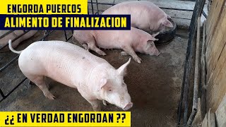 TIERRA FÉRTIL TVPRODUCCIÓN DE GANADO DE ENGORDA290417 [upl. by Eimmit]