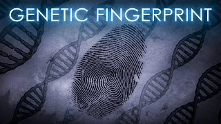 Genetic Fingerprints DNA traces  The Science of Crime  Full Documentary [upl. by Drofla]