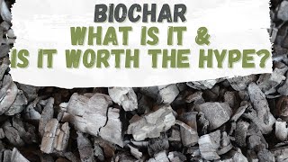 Biochar What is it and is it worth the hype [upl. by Kablesh845]