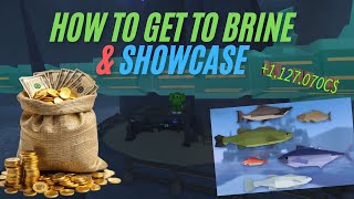 How To Get To Brine Pool amp A Full Showcase [upl. by Mailand]