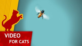 Cat Games  Bee on the Screen Video for cats to watch 4K [upl. by Eilujna]