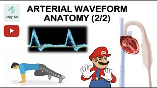 Echocardiogram Parasternal Short Axis View Pulmonary Arteries  Loop [upl. by Sura]