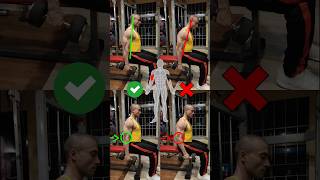 quotAvoid These Seated Hammer Curls Mistakes for Maximum Gainsquot [upl. by Appolonia114]