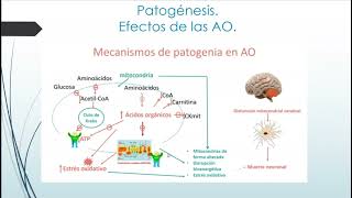 Acidemias Organicas Dr G Silva [upl. by Darnell711]